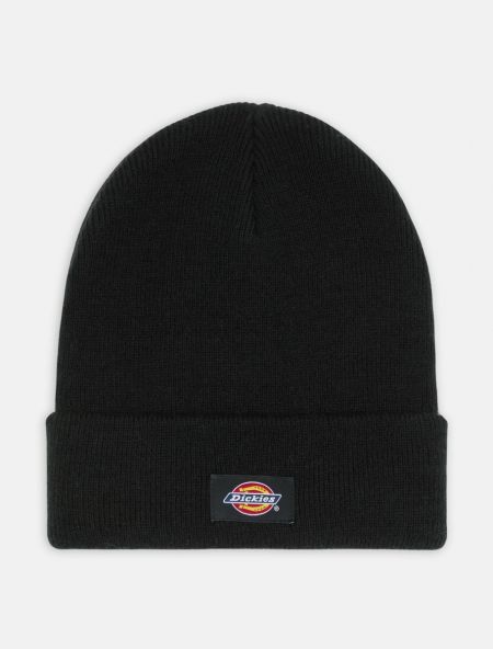 CAPPELLO  DICKIES GIBSLAND UNISEX - DK0A4X7K BD01 BROWN DUCK 