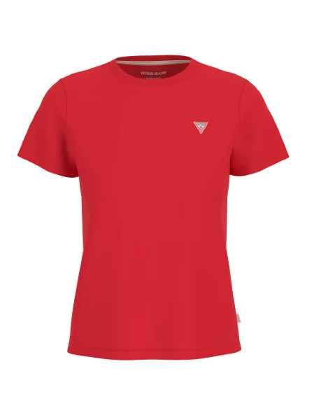 T-SHIRT  THE NORTH FACE NF0A89VT - B REDBOX 56P1 SUMMIT GOLG 